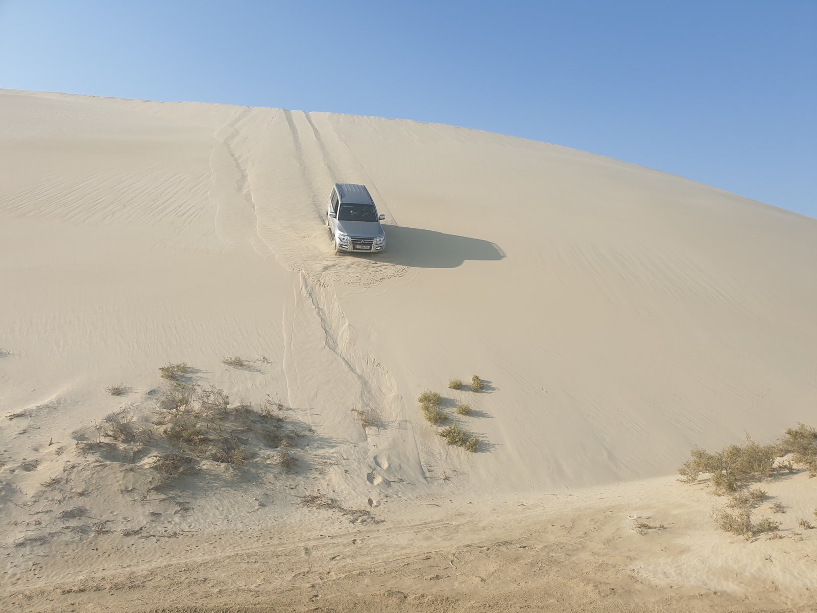 Desert Safari Private Tour (Standard)