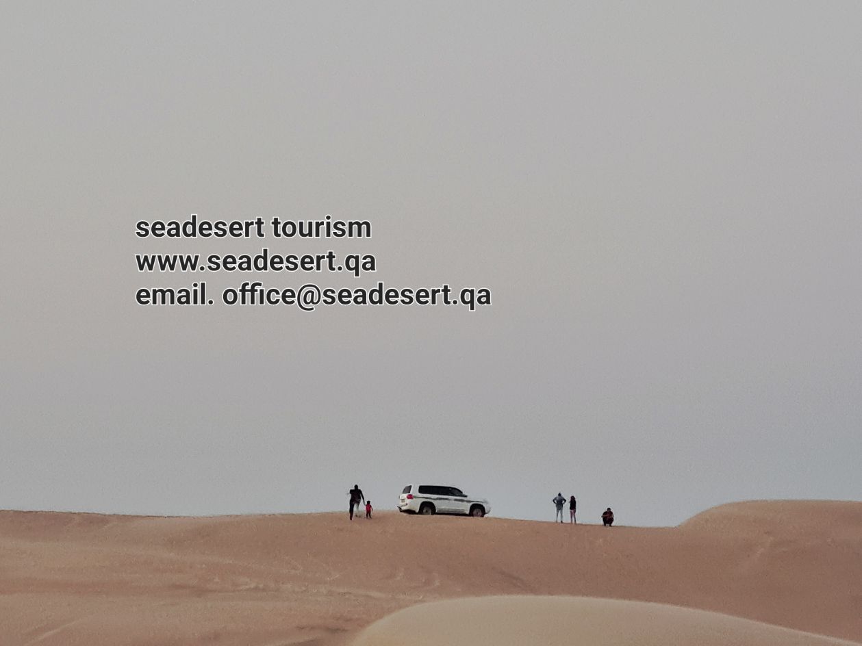 Half Day Desert Safari Tour