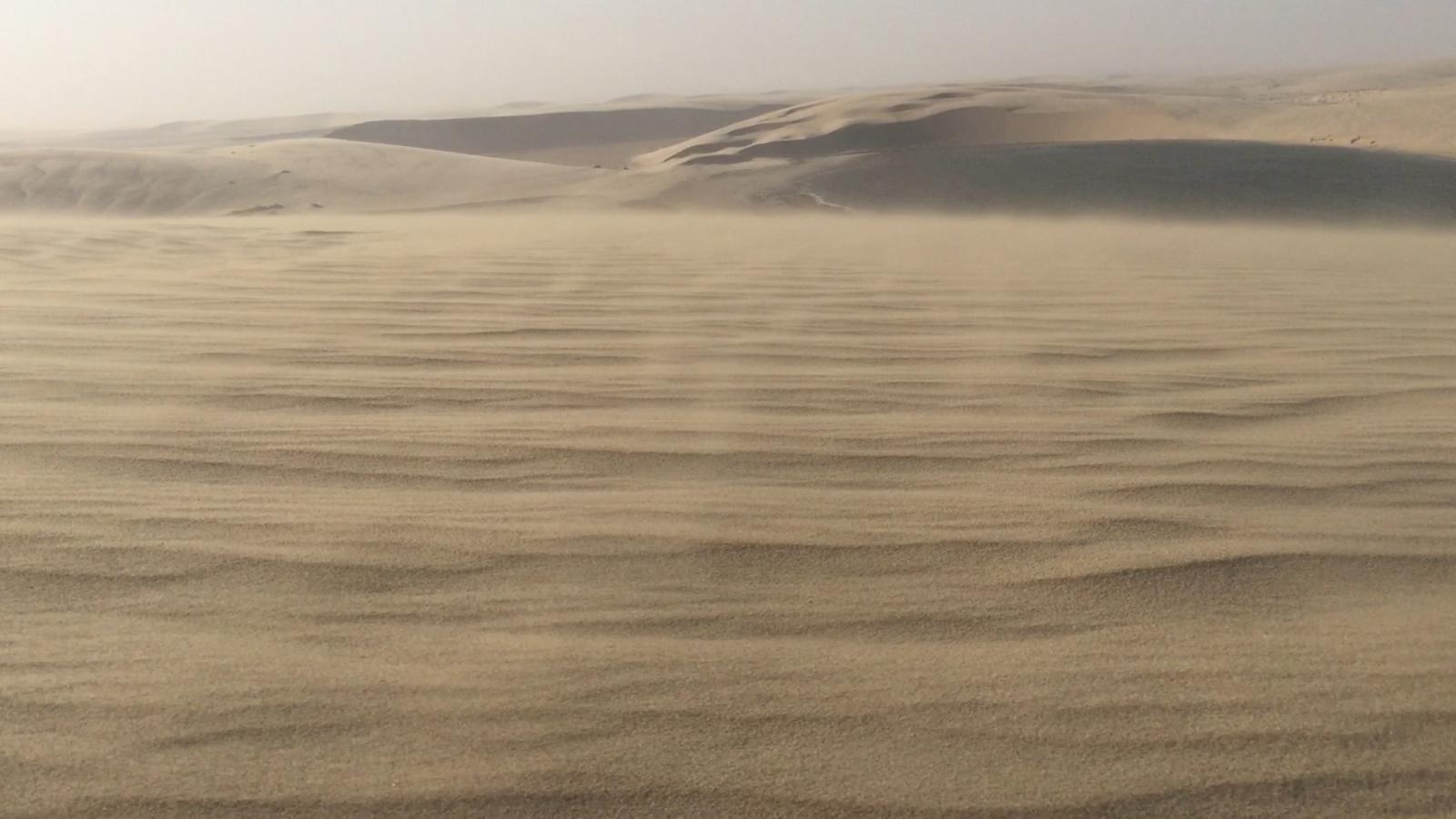Half Day Desert Safari Tour